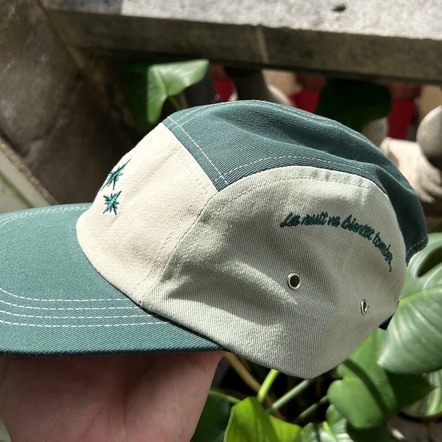 Tree 5 panel