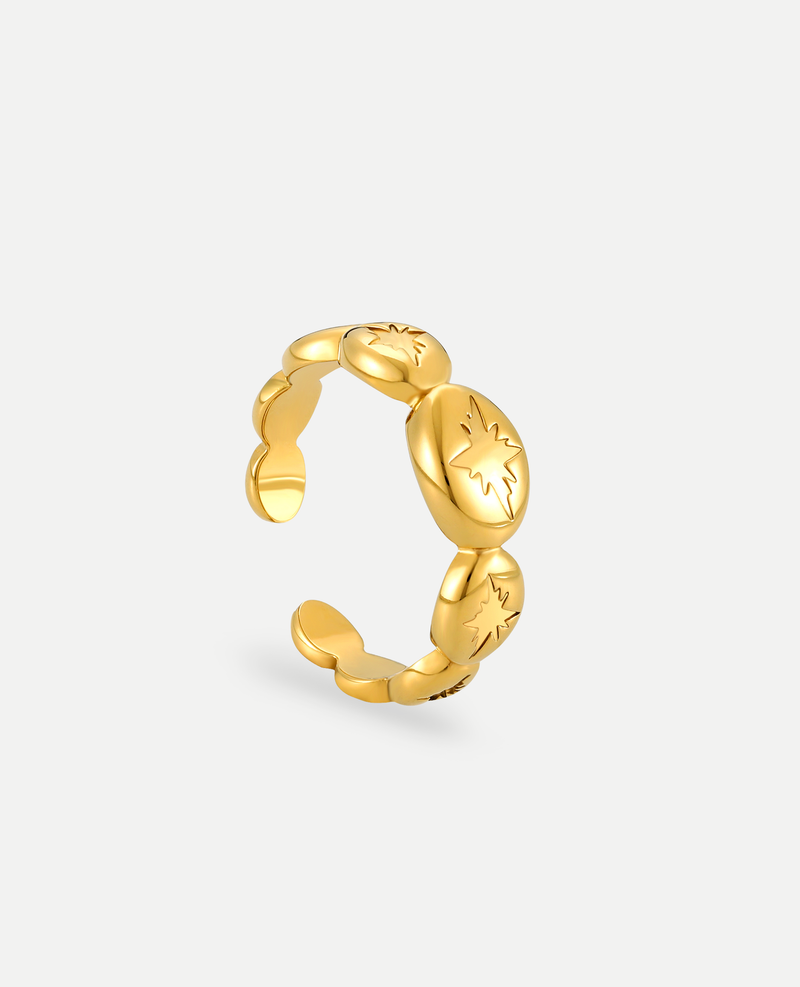 STARDUST RING (18k GOLD)